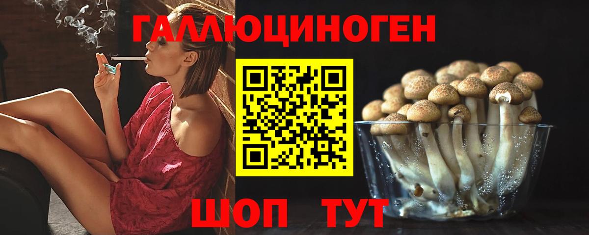 Саяногорск  Галлюциногенные грибы прущие грибы  Вход с VPN 
